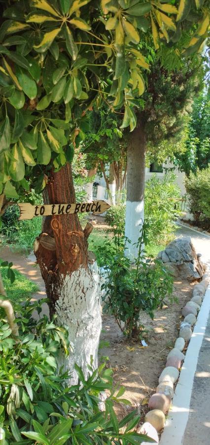 Athina Studio Apartments Kerveli Екстериор снимка